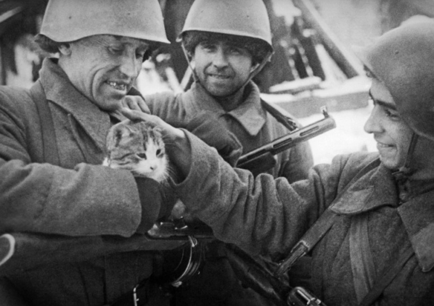 Советские бойцы с кошкой на руках в Сталинграде